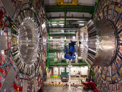 AI Bantu CERN Membuka Rahasia Hubungan Higgs dan Quark Charm