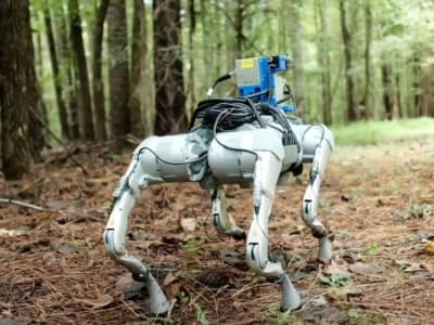 WildFusion: Robot dengan Indera Sentuhan dan Getaran untuk Navigasi Alam Liar