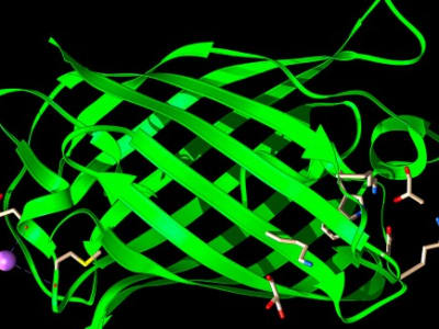 AI dengan Bahasa Sehari-hari: Revolusi Desain Protein untuk Masa Depan Bioteknologi