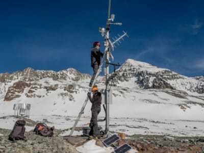 Efek Gollum: Perilaku Teritorial yang Merusak Karier Peneliti Muda