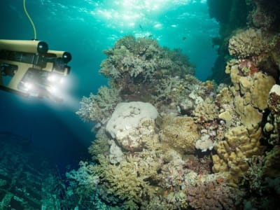 Metamaterial Inovatif Gunakan Gelombang Suara untuk Gerakkan Objek di Dalam Air