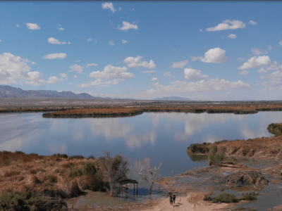 Las Arenitas: Oase di Gurun yang Menyelamatkan Burung dan Sungai Mexicali
