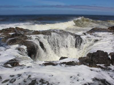 Mengeksplorasi Keajaiban dan Bahaya Sumur Thor di Pantai Oregon