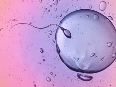 Donor Sperma dengan Mutasi Kanker Tersebar Luas, Butuh Regulasi Internasional