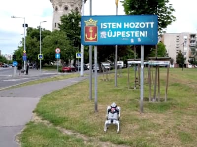Anjing Robot Unitree Go2 Edukasi Anak Tentang Kepedulian Hewan di Budapest