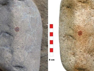 Penemuan Sidik Jari Neanderthal Tertua Bukti Kemampuan Seni Prasejarah