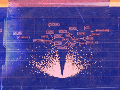 Atlas Sel Imun Pertama di Asia Tingkatkan Diagnosis dan Pengobatan Akurat