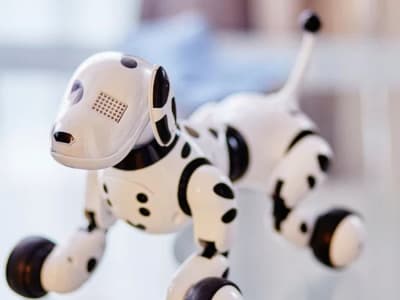 Robot Terapi Baru, Seperti Kuda Terapi, Bisa Merespon Emosi Kita