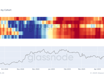 Perubahan Strategi Whale Bitcoin Mengindikasikan Potensi Puncak Harga Baru
