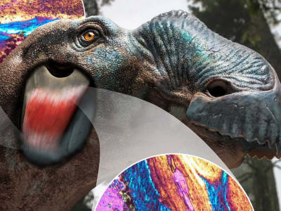 Penemuan Exoparia di Dinosaurus Mengubah Pandangan Tentang Anatomi Mereka