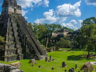 Penemuan Kota Kuno Maya Los Abuelos Di Guatemala Ungkap Sejarah Peradaban