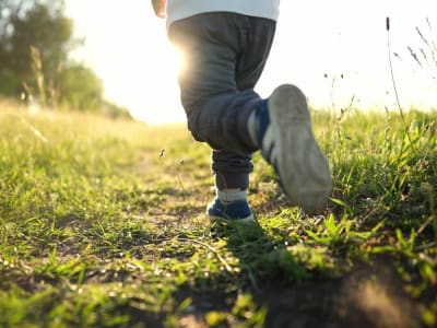 Manfaat Ruang Hijau untuk Kesejahteraan Warga di Kota Besar Jepang