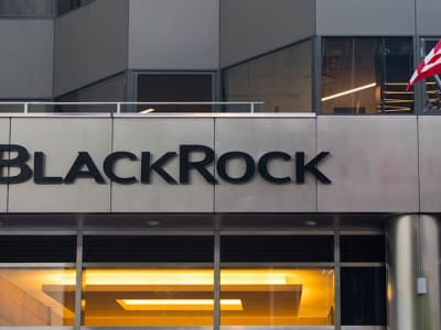 Volatilitas Rendah Bitcoin ETF BlackRock Tarik Minat Investor Besar