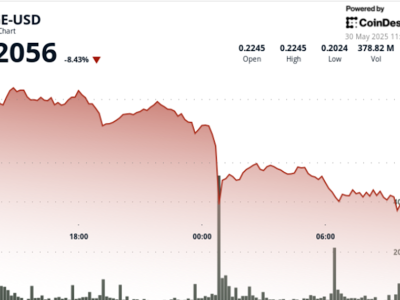 Penurunan Tajam Dogecoin: Peluang dan Tantangan Bagi Para Trader