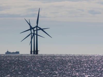 Pertumbuhan dan Risiko Ocean Power Technologies di Tengah Lonjakan Saham