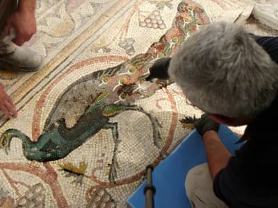 Mosaik Bizantium Be’er Shema yang Menakjubkan Kini Dibuka untuk Umum di Israel