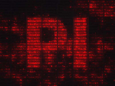 Pi Network: Membuat Cryptocurrency Semudah Uang Tunai dengan 60 Juta Pengguna