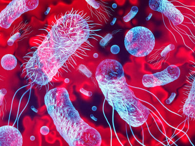 Bakteri Baru Niallia tiangongensis Ditemukan di Stasiun Luar Angkasa Tiangong