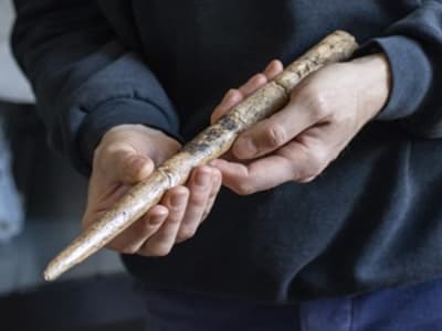 Manusia Purba Gunakan Tulang Paus untuk Alat Berburu Sejak 20 Ribu Tahun Lalu