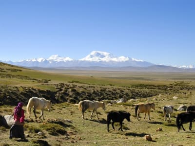 Ilmuwan Cina Temukan Asal Usul Genetika Misterius Penduduk Tibet