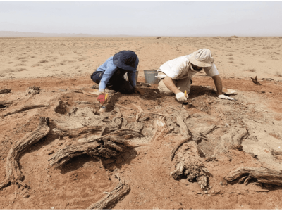 Rahasia Tembok Gobi: Pencapaian Arsitektur dan Kontrol Wilayah Abad Pertengahan
