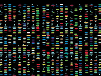 China Pimpin Penelitian Genom untuk Ungkap Keanekaragaman Asia Tenggara