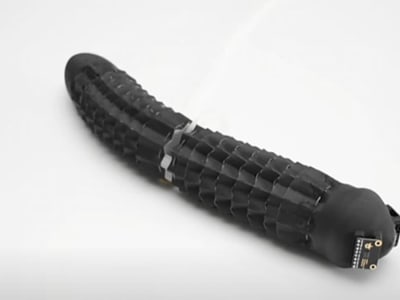 Robot Lunak Terinspirasi Cacing Tanah untuk Jelajah Lingkungan Sulit