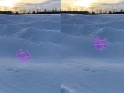 Robot Metashell Melompat Terprogram untuk Dispersi Benih Otomatis di Pertanian