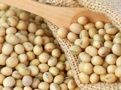 Diet Vegan Rendah Lemak Efektif Redakan Hot Flashes dan Turunkan Berat Badan Wanita Menopause