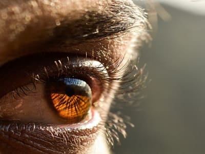 Inovasi Sinaps AI Hemat Energi untuk Deteksi Warna Seperti Mata Manusia