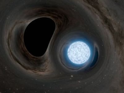 Simulasi Detil Ungkap Retak Bintang Neutron Sebelum Ditelan Lubang Hitam