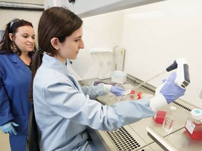 Terobosan Obat Blokir Enzim HDAC6 untuk Sembuhkan Fibrosis Hati