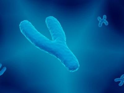 Hilangkan Kromosom Y Bisa Bikin Kanker Jadi Lebih Parah dan Lebih Sulit Diatasi