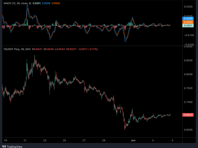 Pergerakan Harga Pi Coin Menembus Rentang tapi Hadapi Hambatan Kuat