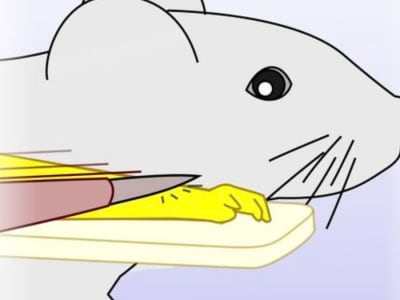 Penemuan Ilusi Tangan Karet pada Tikus Membuka Wawasan Baru Mengenai Rasa Tubuh