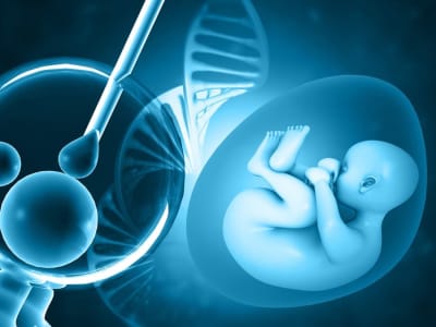 Teknologi Baru Memungkinkan Pilih Embrio IVF dengan Risiko Penyakit Lebih Rendah