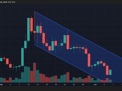 Shiba Inu (SHIB) Pulih 3% Setelah Koreksi Hebat Ditengah Transaksi Whale Besar