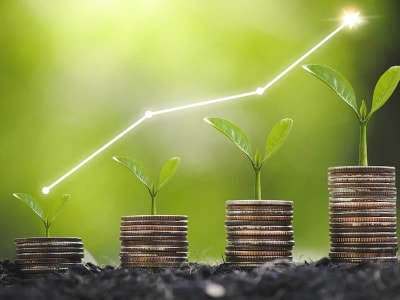 Investasi Cerdas: Kenali Potensi Pertumbuhan Saham Datadog dan Microsoft