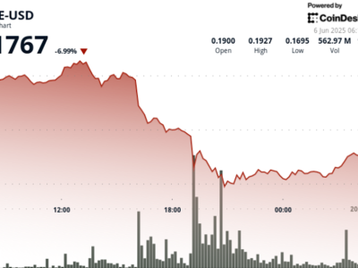Harga Dogecoin Turun Drastis Karena Ketegangan Elon Musk dan Donald Trump