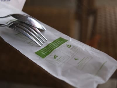 Mikroplastik PLA dalam Makanan Bisa Ganggu Usus dan Metabolisme Tubuh