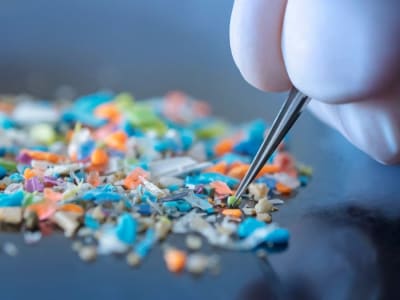 Bahaya Mikroplastik Plastik Biodegradable PLA bagi Kesehatan Tubuh dan Usus