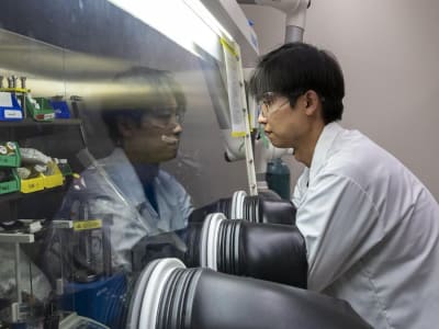 Inovasi Gabungan Lithium dan Natrium Permudah Baterai Solid-State Ringan dan Tahan Lama