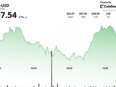 BNB Bangkit Kembali Setelah Turbulensi Pasar Crypto dan Fundamental Meningkat