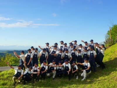 Tebi: Startup Fintech Baru Membantu Bisnis Kecil Perhotelan Kelola Operasi