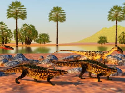 Reptil Purba Bertahan dan Migrasi 10.0.00 km (000 Mil) di Tengah Panas Ekstrem Trias