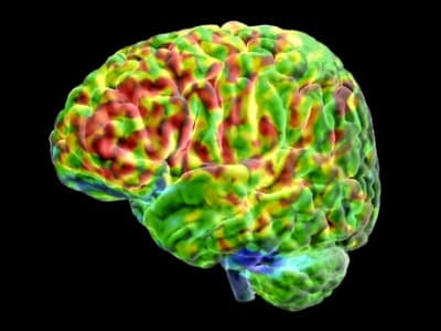 Bagaimana Otak Membedakan Gambar Nyata dan Imajinasi: Temuan Baru Neurosains