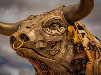 Meliuz Rencanakan Penggalangan Dana Rp180 M untuk Beli Bitcoin