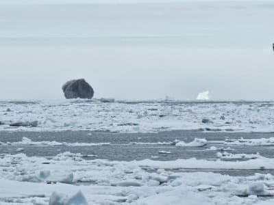 Fenomena Gunung Es Hitam Langka di Laut Labrador Ini Ternyata Apa?