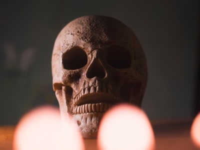 Misteri Tengkorak Kerucut 6200 Tahun: Modifikasi Kepala dan Trauma Mematikan