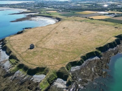 Penemuan Pot Romawi Pertama di Irlandia Ungkap Jaringan Perdagangan Kuno